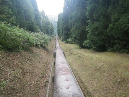 p_056.jpg