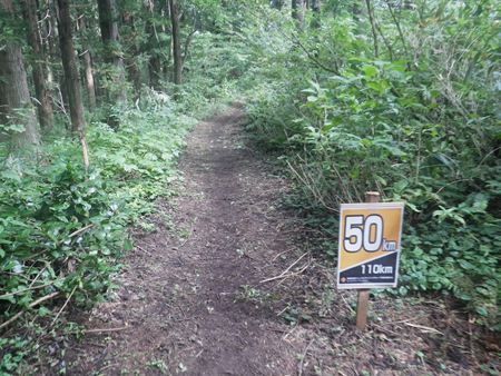 p_057.jpg