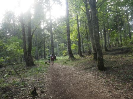 p_064.jpg