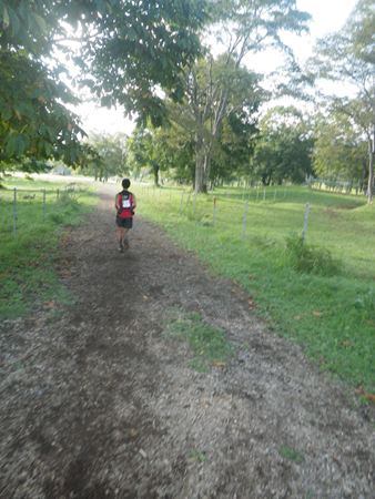 p_067.jpg