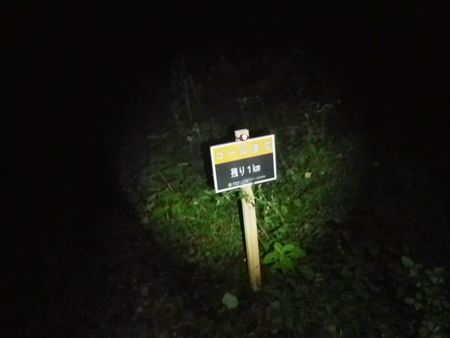 p_085.jpg