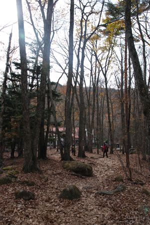 p_31.jpg