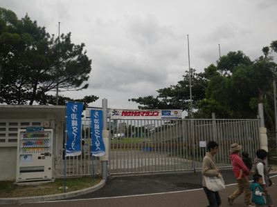 p_016.jpg