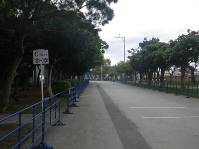p_017.jpg