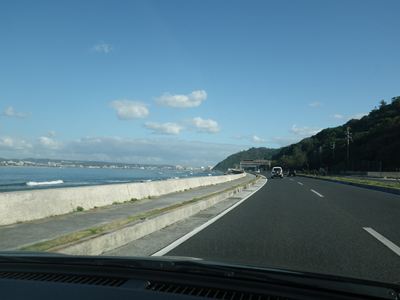 p_019.jpg