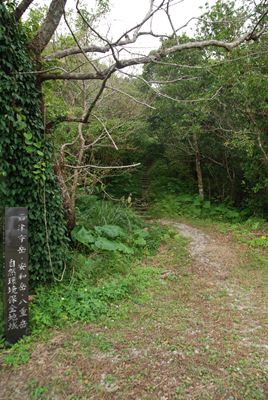p_025.jpg