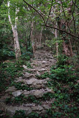 p_027.jpg