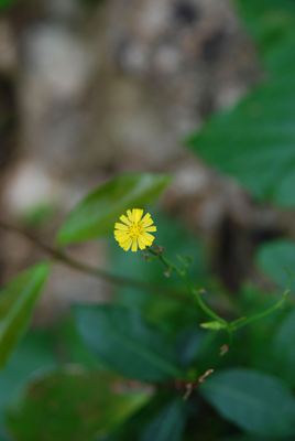 p_028.jpg