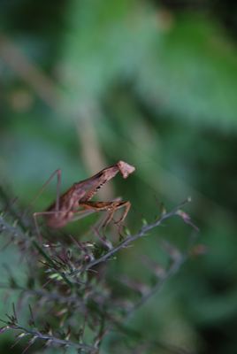p_030.jpg