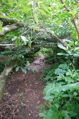 p_033.jpg