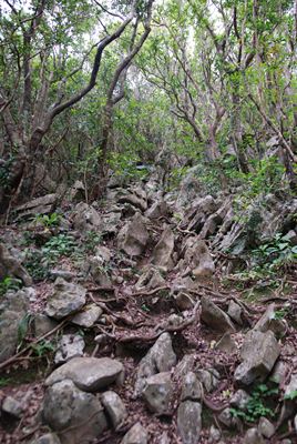 p_034.jpg