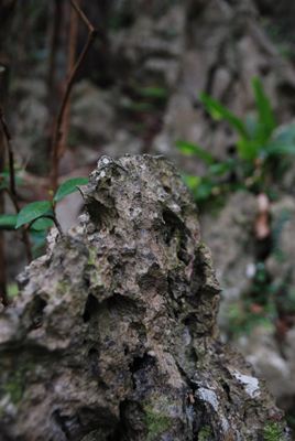 p_035.jpg
