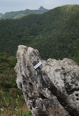p_038.jpg
