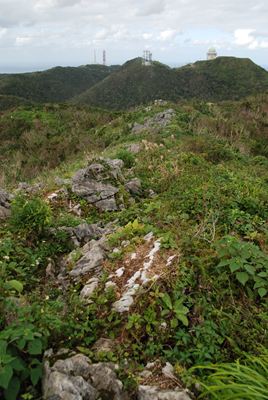 p_040.jpg