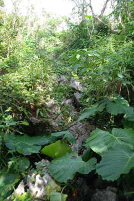 p_044.jpg