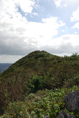 p_045.jpg