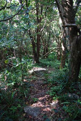 p_050.jpg