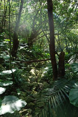 p_054.jpg