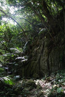 p_056.jpg