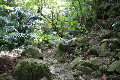 p_059.jpg