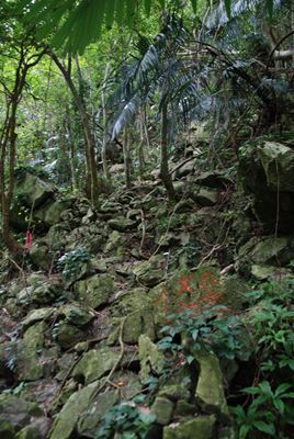 p_060.jpg