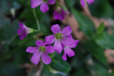 p_063.jpg