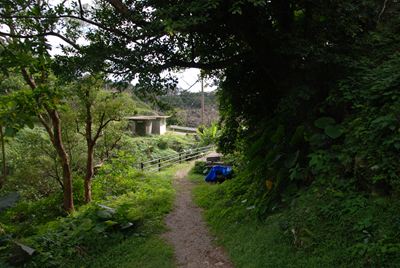 p_065.jpg