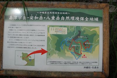 p_067.jpg