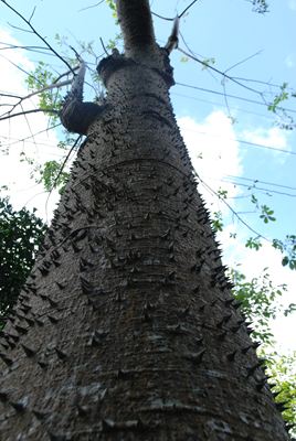 p_078.jpg
