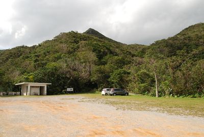 p_081.jpg