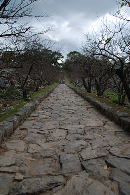 p_093.jpg