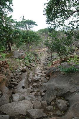 p_097.jpg