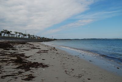 p_123.jpg