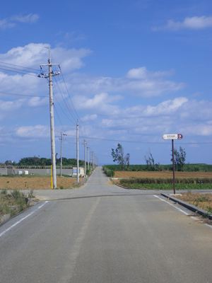 p_124.jpg