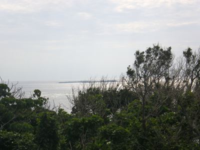 p_130.jpg