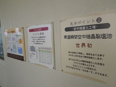 p_131.jpg