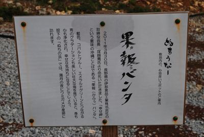 p_143.jpg