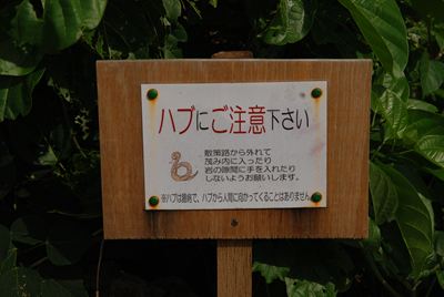 p_144.jpg