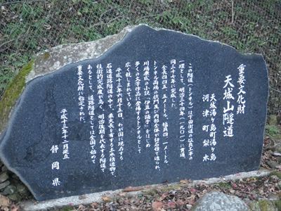 p_09.jpg