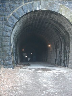 p_11.jpg