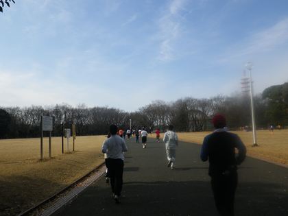 p_014.jpg