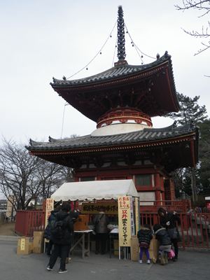 p_005.jpg