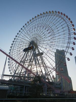 p_019.jpg