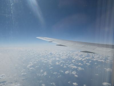 p_007.jpg