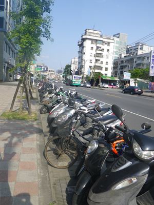 p_018.jpg