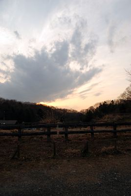 p_009.jpg