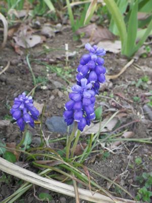p_013.jpg