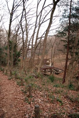 p_014.jpg