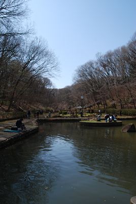 p_015.jpg