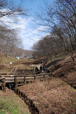 p_018.jpg